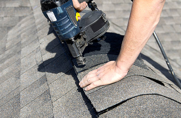 Best Metal Roofing Installation  in Wewahitchka, FL